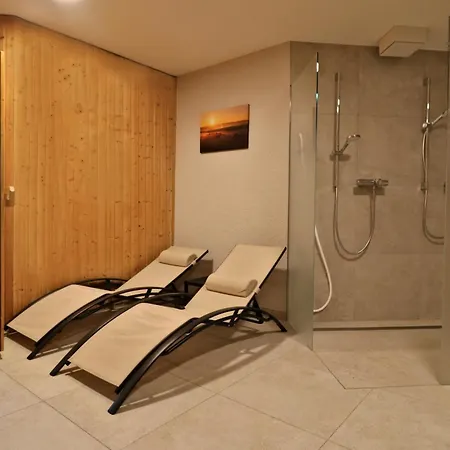 12 - Residenz Schauinsland, E-ladestation, Todtnauberg, Feldberg