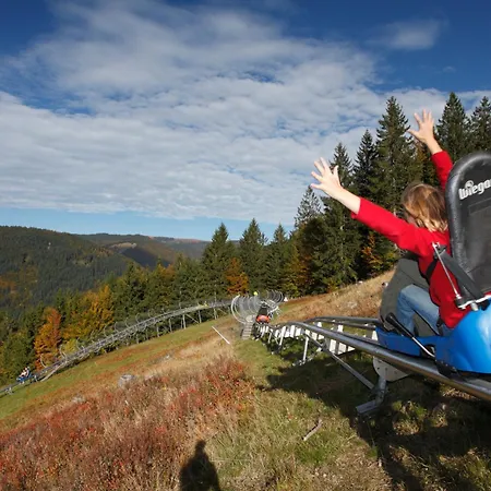 12 - Residenz Schauinsland, E-ladestation, Todtnauberg, Feldberg Todtnauberg