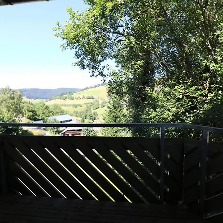 12 - Residenz Schauinsland, E-ladestation, Todtnauberg, Feldberg Todtnauberg